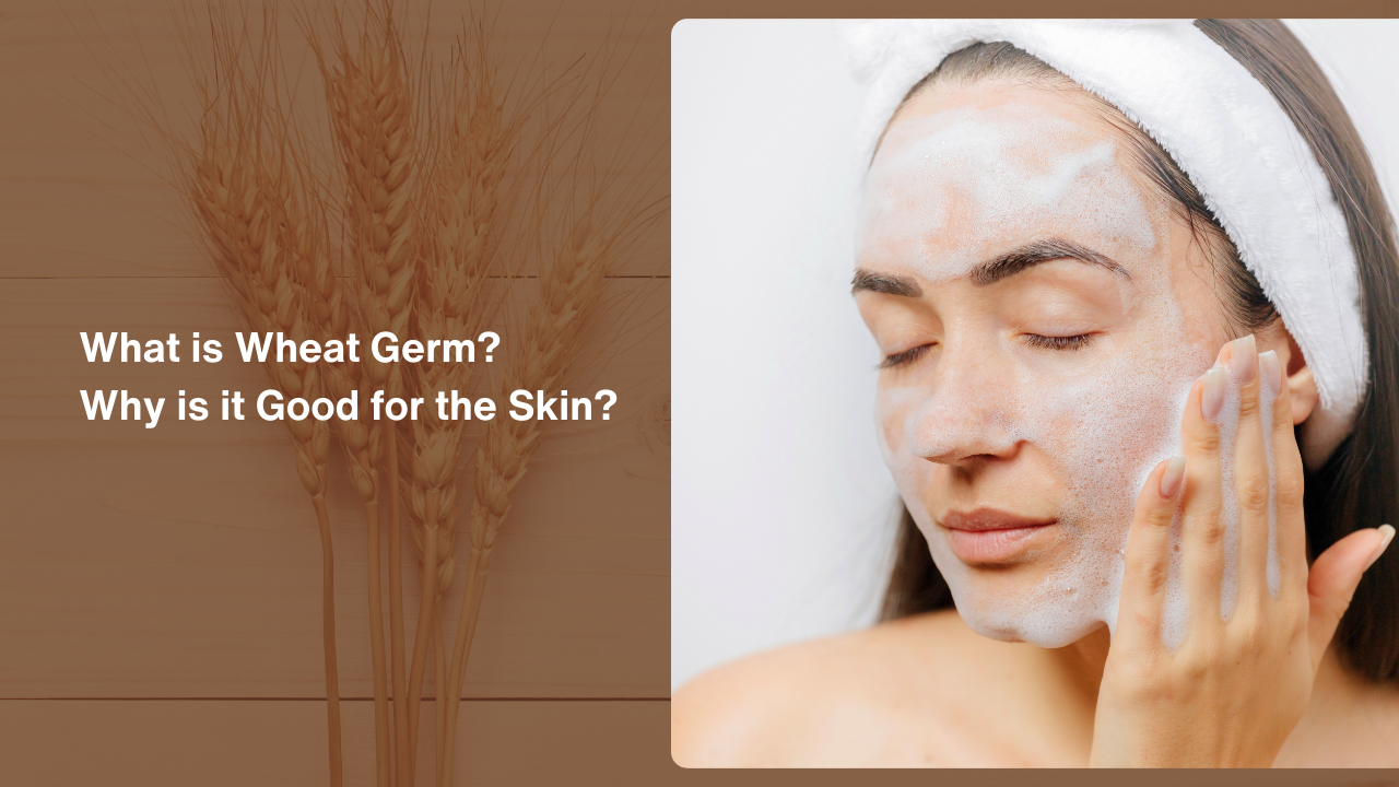 What is Wheat Germ? Why is it Good for the Skin?
