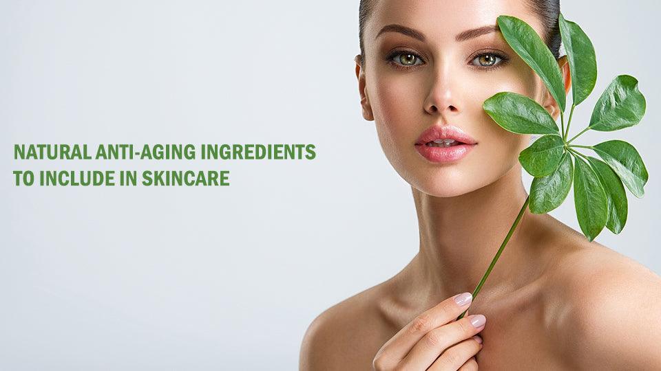 Natural Anti-aging Ingredients to Include in Skincare