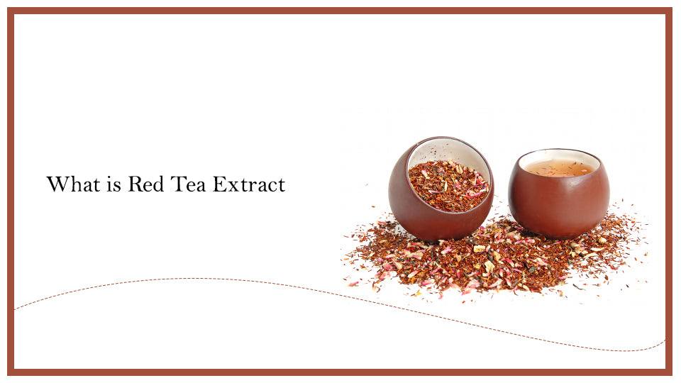 What is Red Tea Extract? - SavarnasMantra