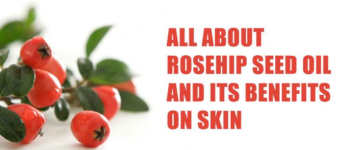 All about Rosehip seed oil and Its Benefits on Skin
