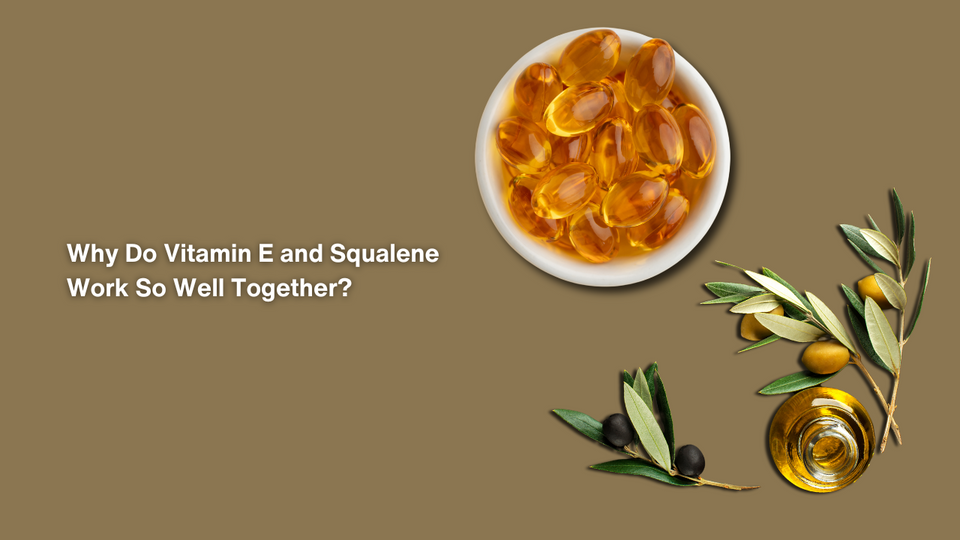 Why Do Vitamin E and Sqaualane Work So Well Together?