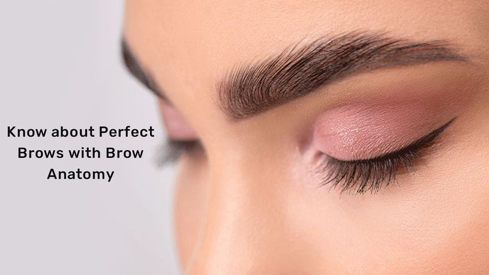 Know about Perfect Brows with Brow Anatomy