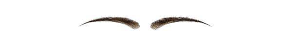 Natural Women's  Eyebrow Wig- Medium Round - SavarnasMantra
